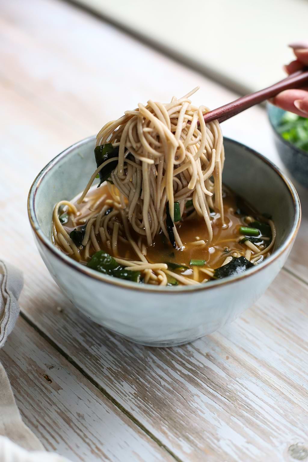 Nouilles froides de soba 
